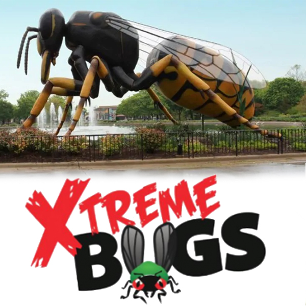 Xtreme Bugs